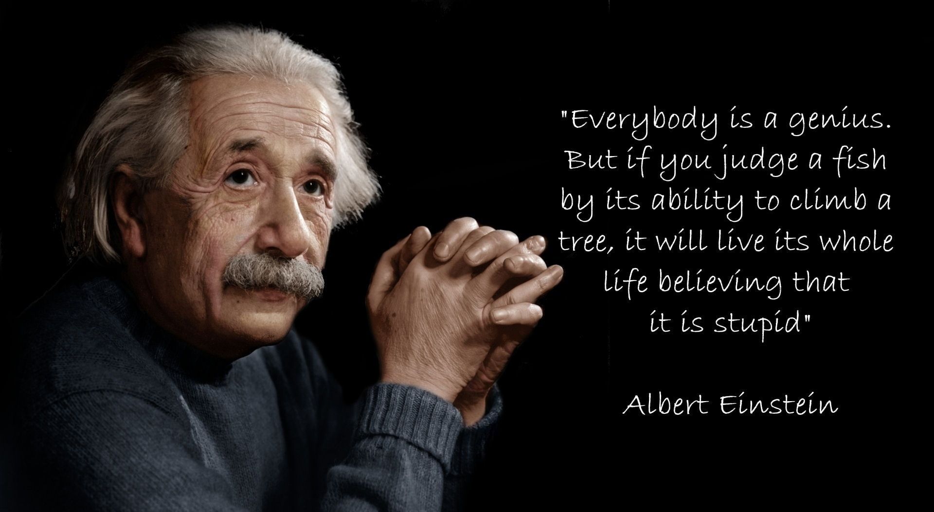 Albert Einstein Hd Wallpapers