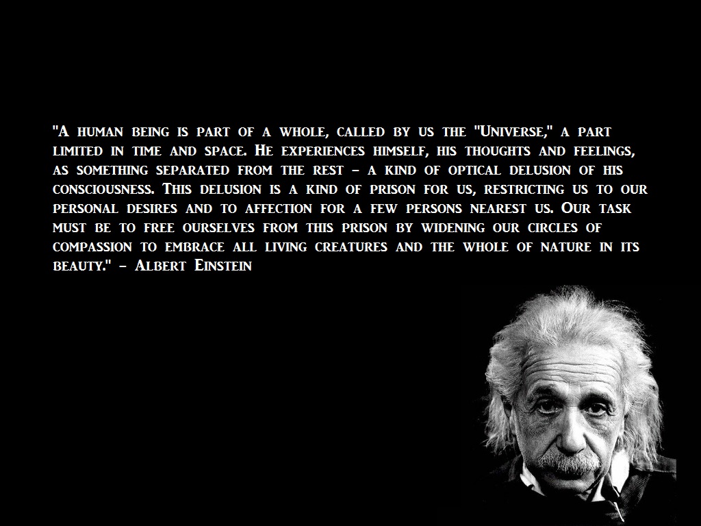 Albert Einstein Hd Wallpapers