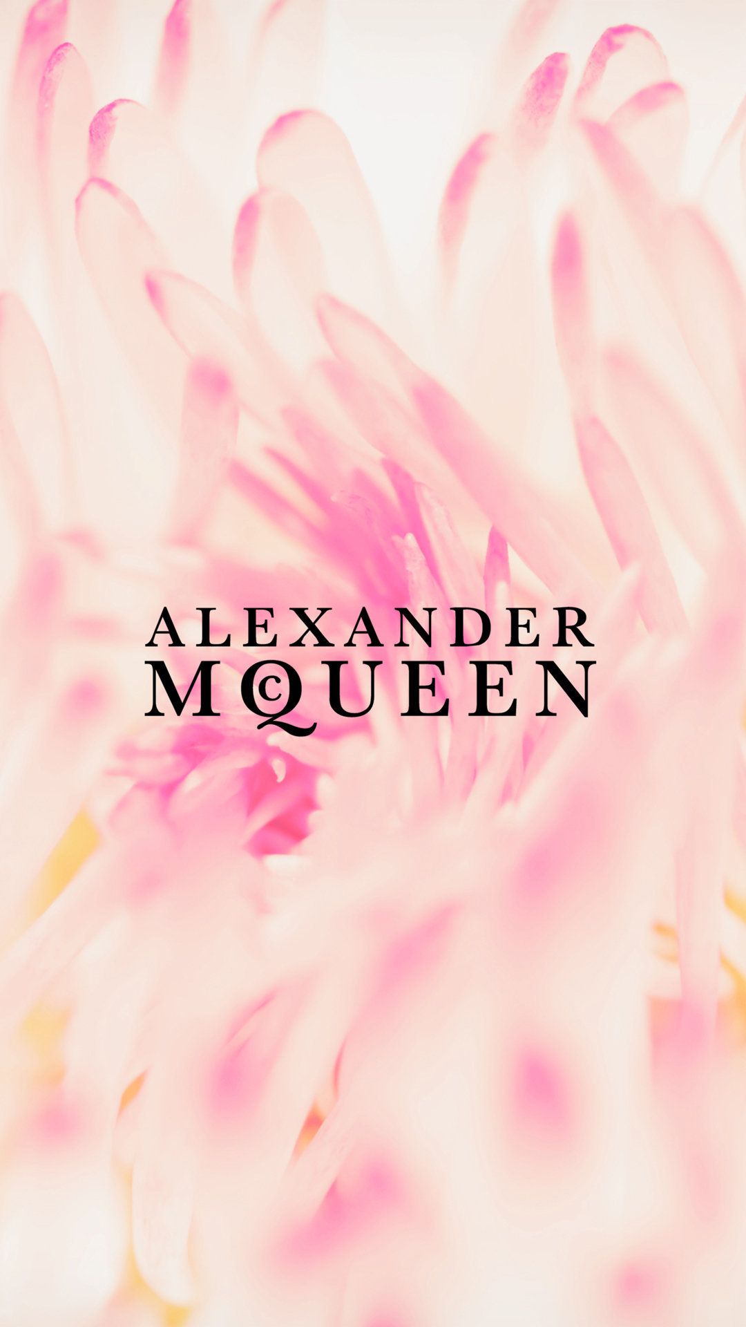 Alexander Mcqueen Wallpapers