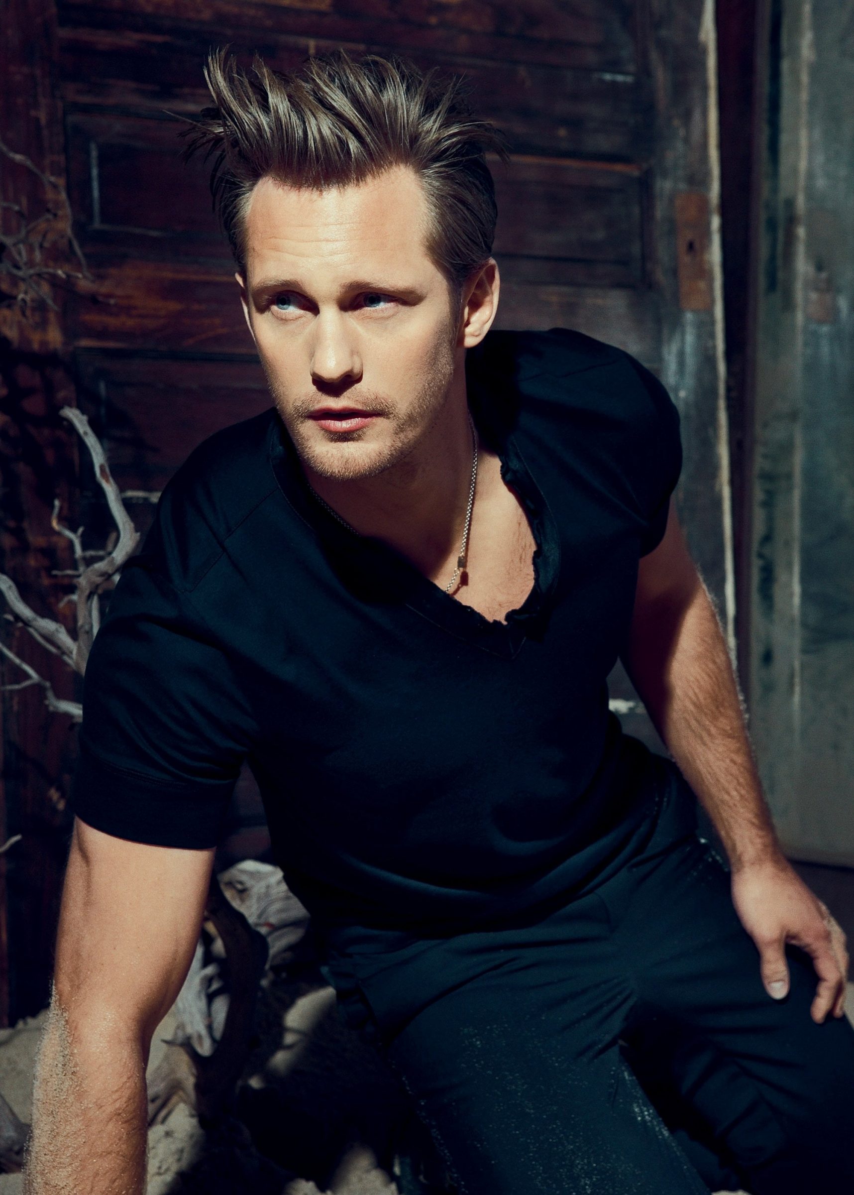 Alexander Skarsg?rd Wallpapers