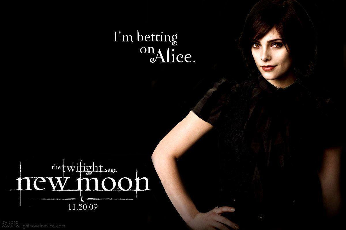 Alice Collins Twilight Wallpapers