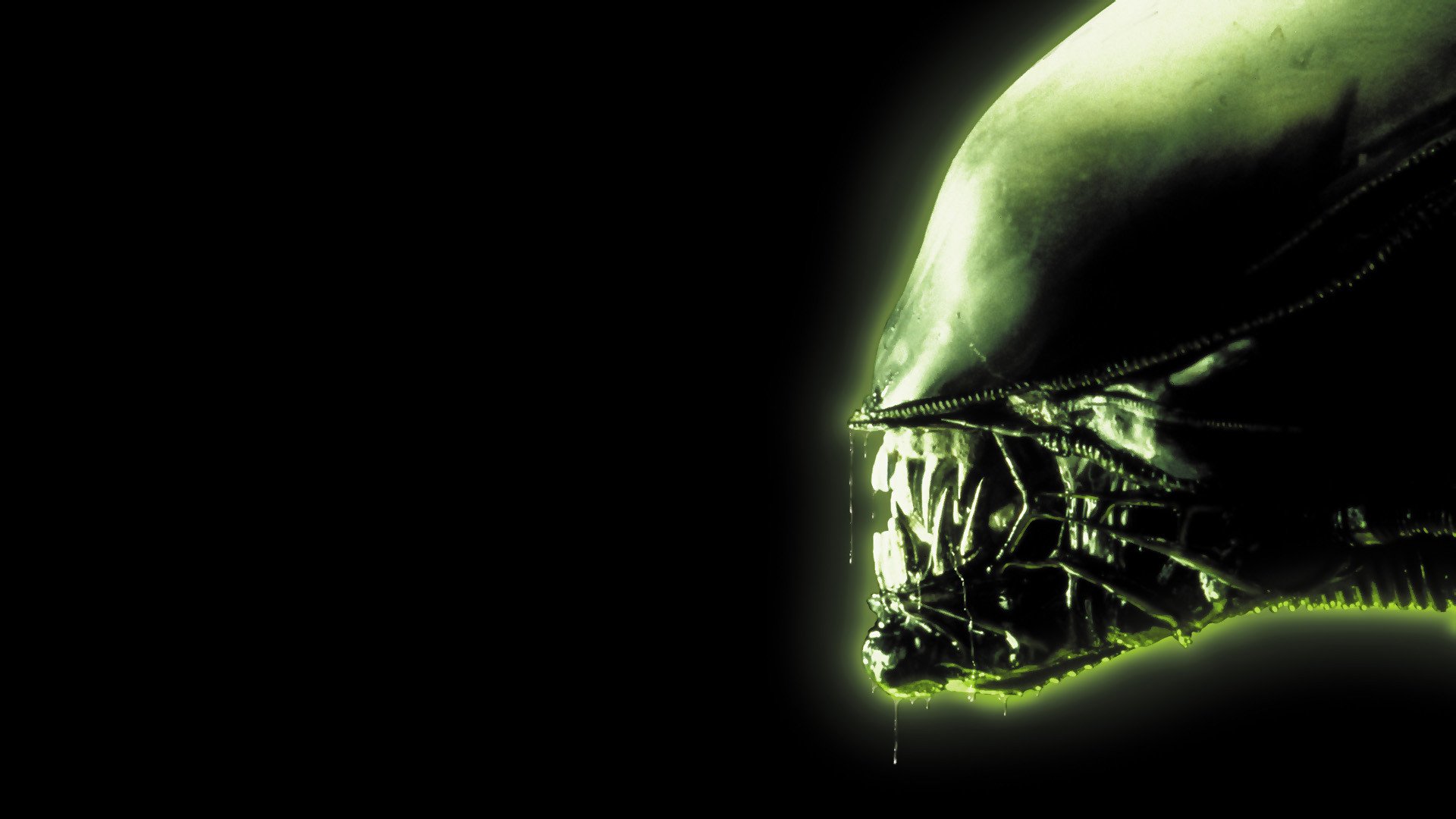 Alien Movie Wallpapers