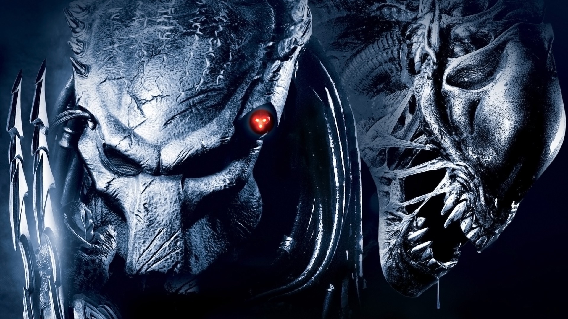 Alien Vs.Predator Wallpapers