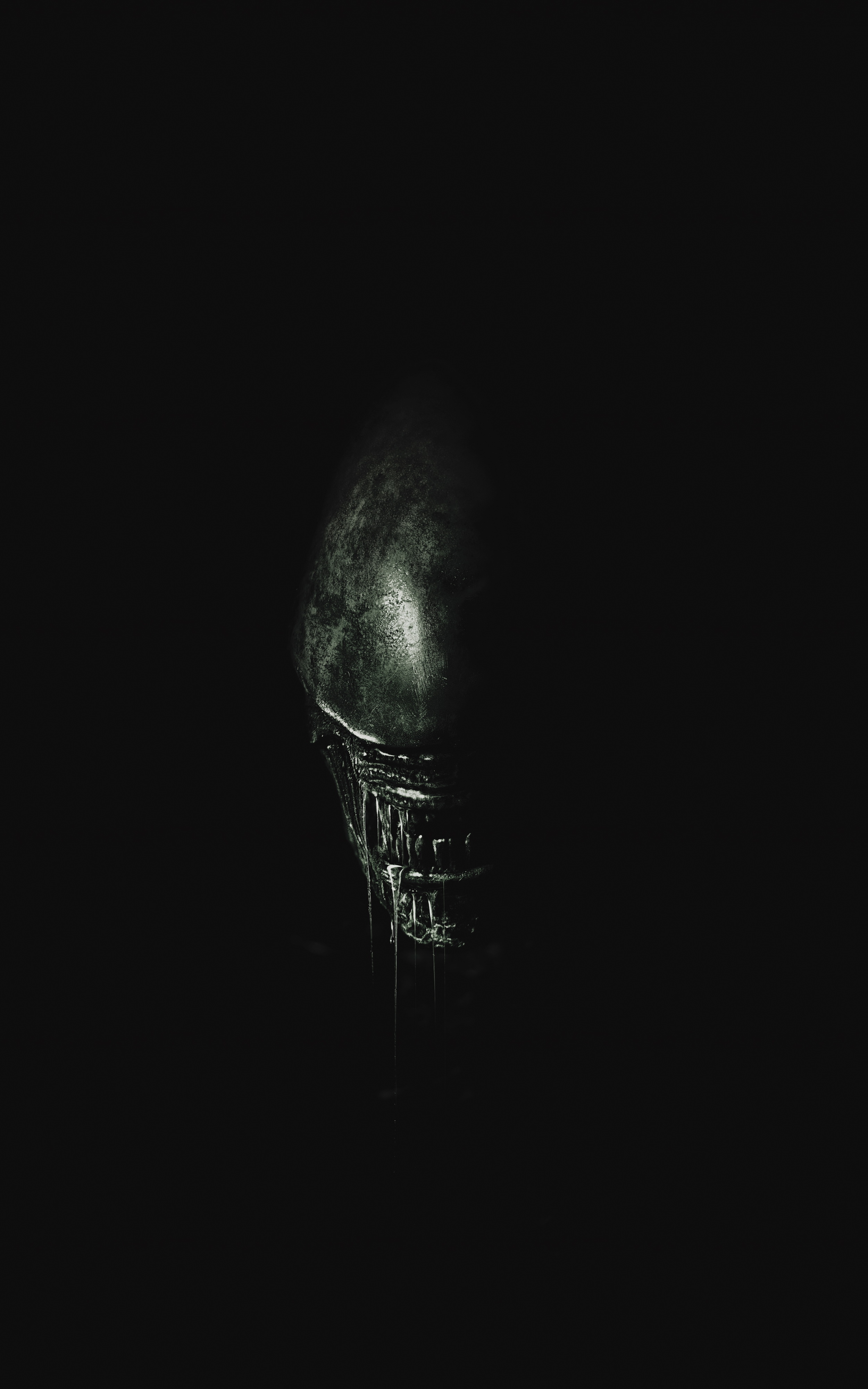 Alien 4K Wallpapers