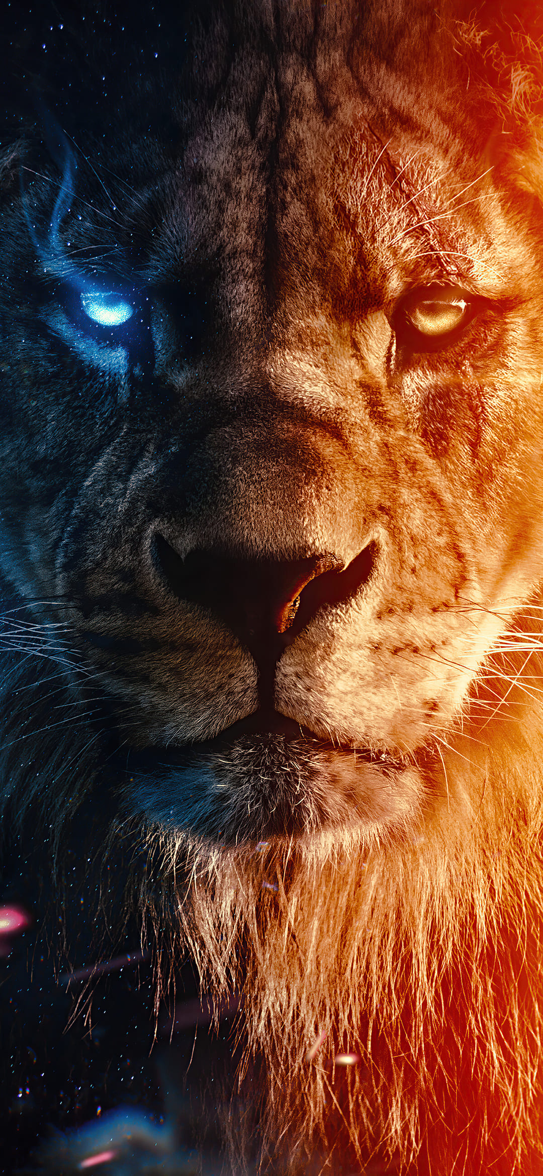 Amazing Lion Wallpapers