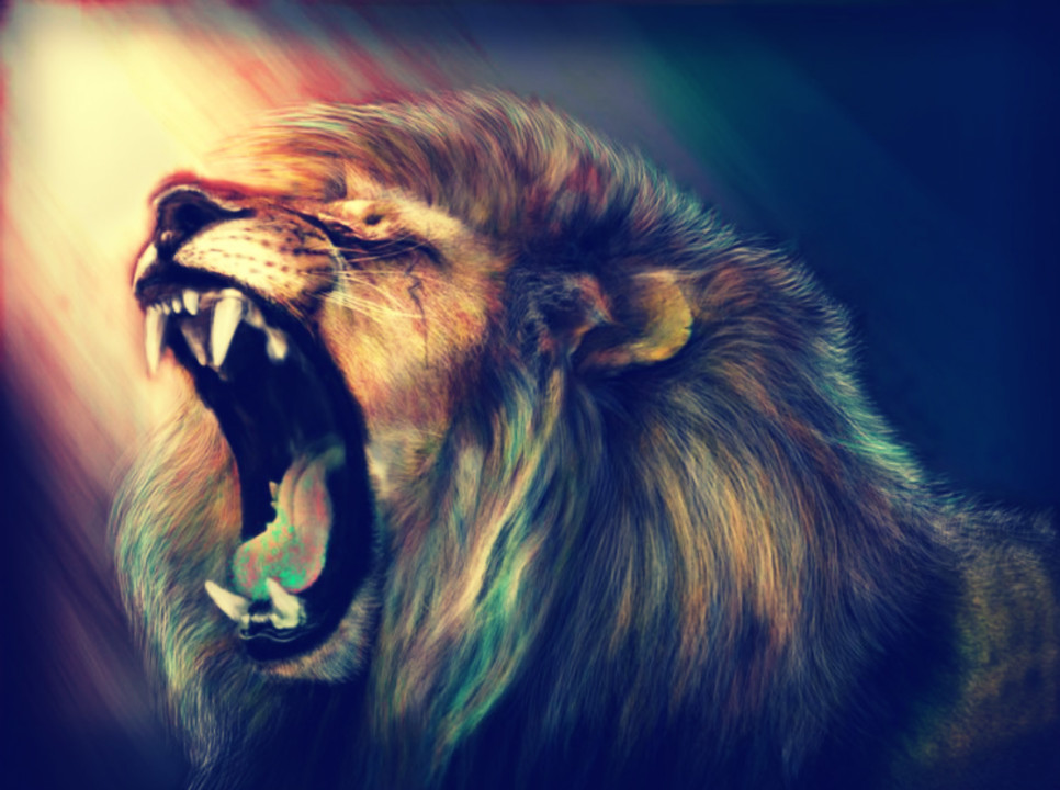 Amazing Lion Wallpapers