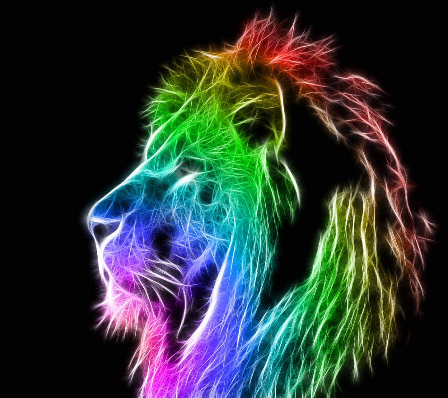 Amazing Lion Wallpapers