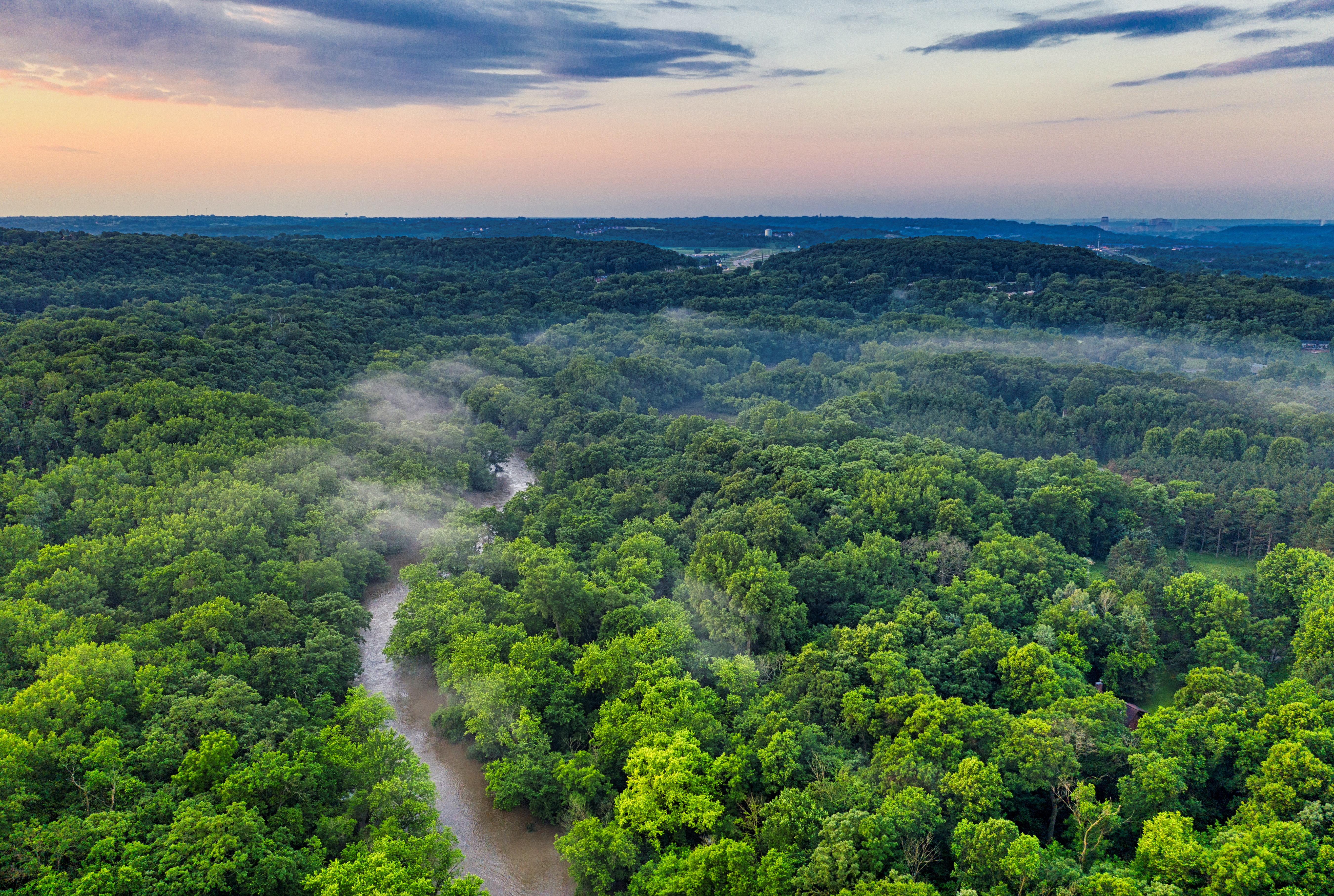 Amazonian Jungle Wallpapers