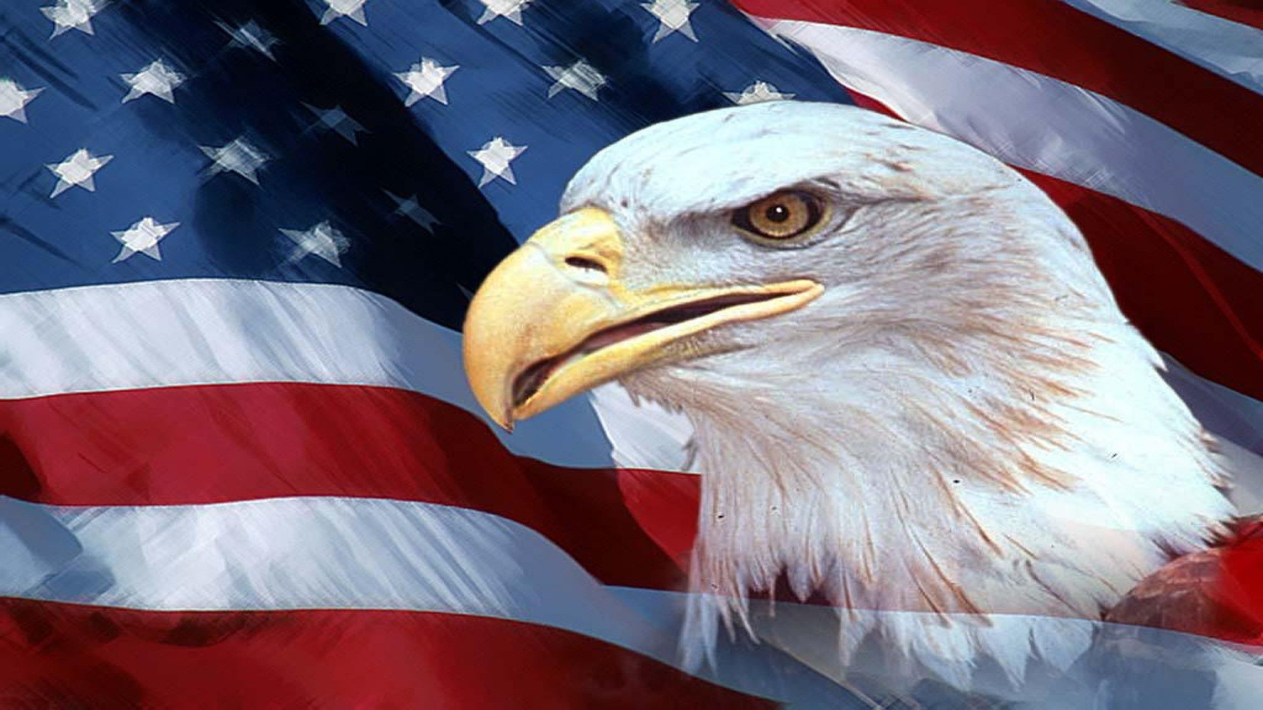 American Eagle Flag Wallpapers