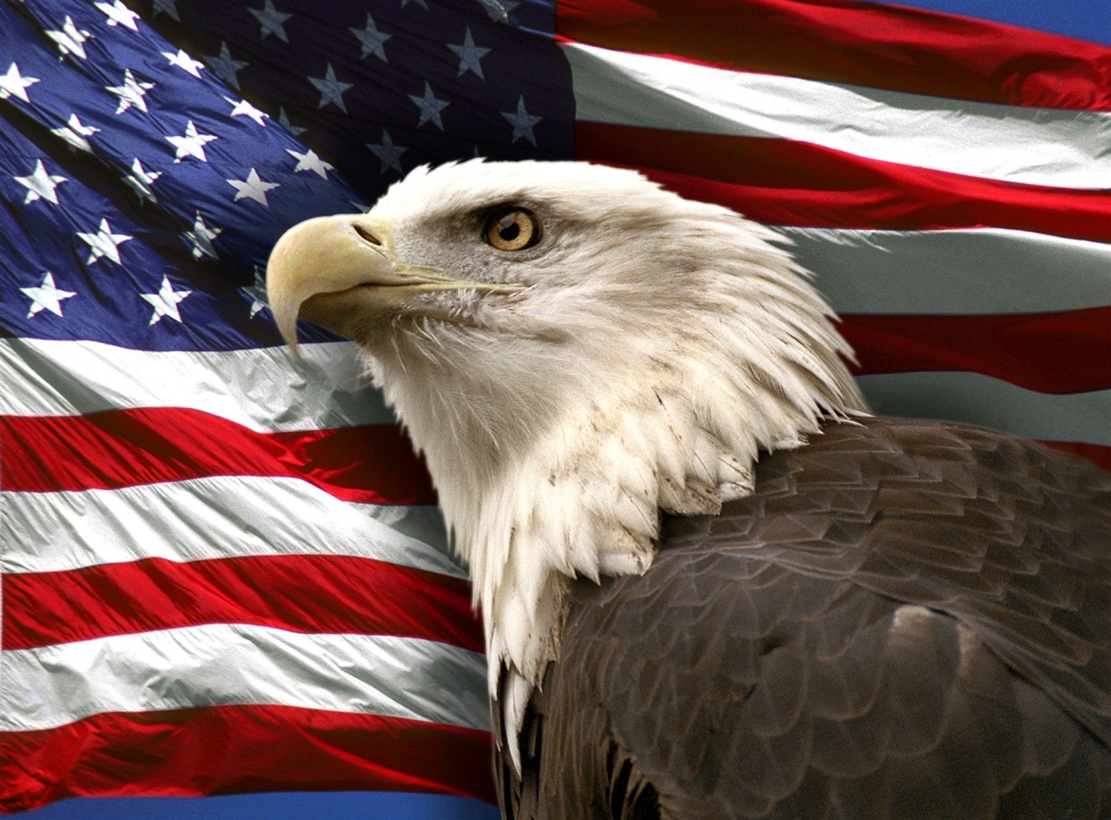 American Eagle Flag Wallpapers