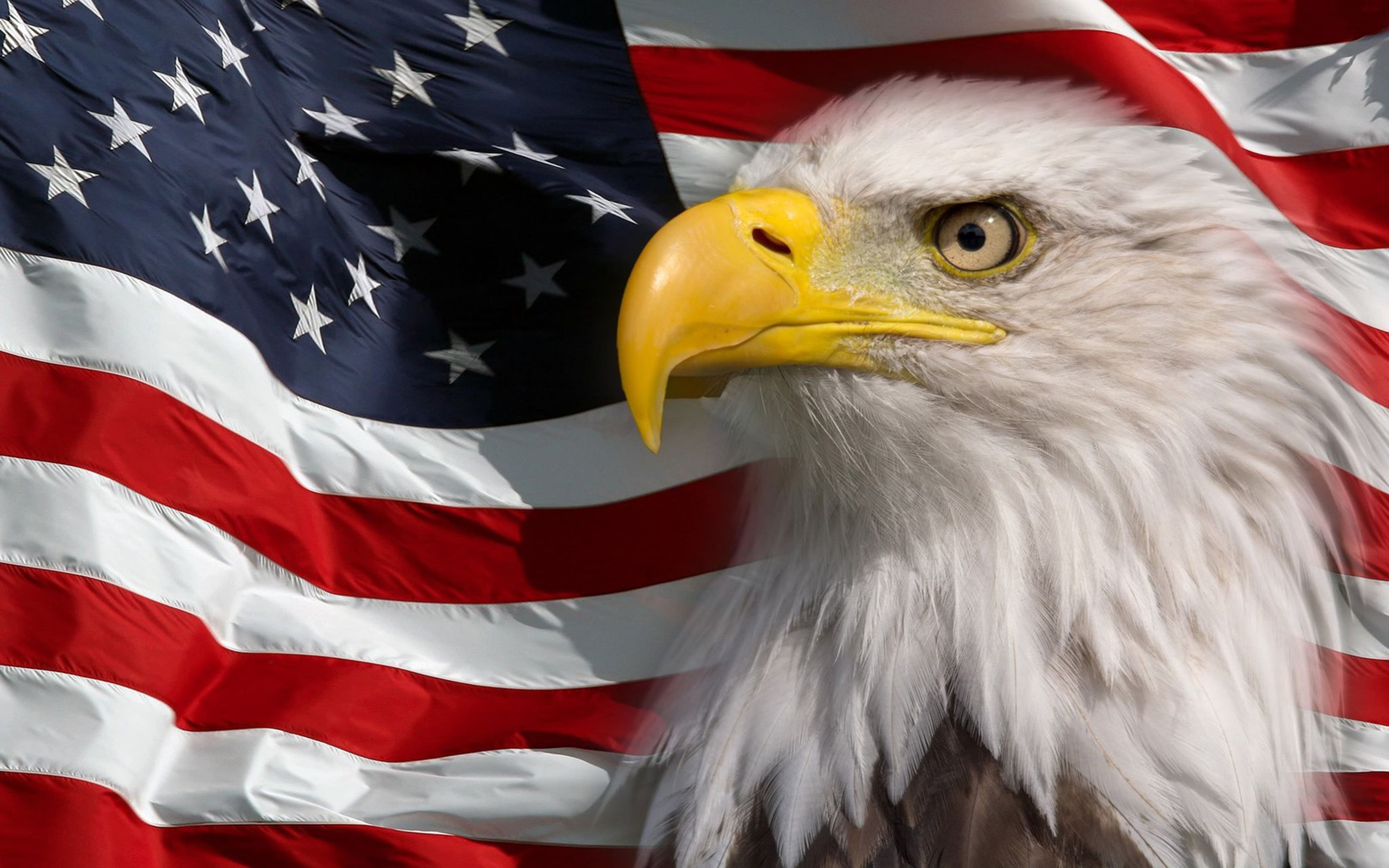 American Eagle Flag Wallpapers