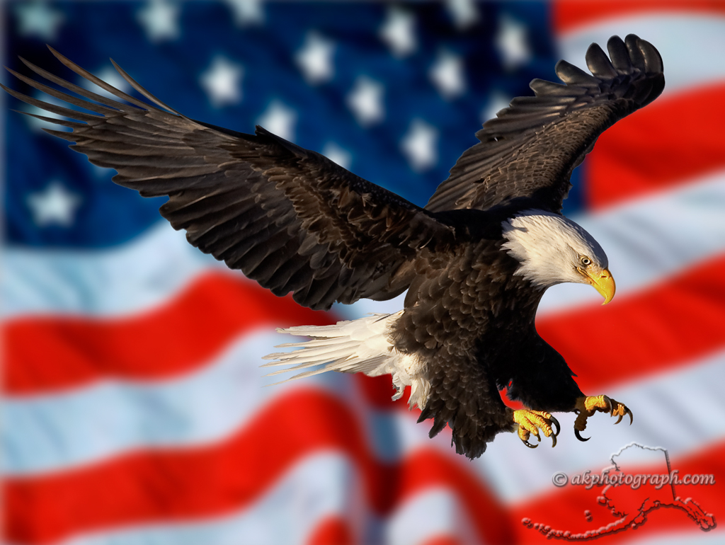 American Eagle Flag Wallpapers