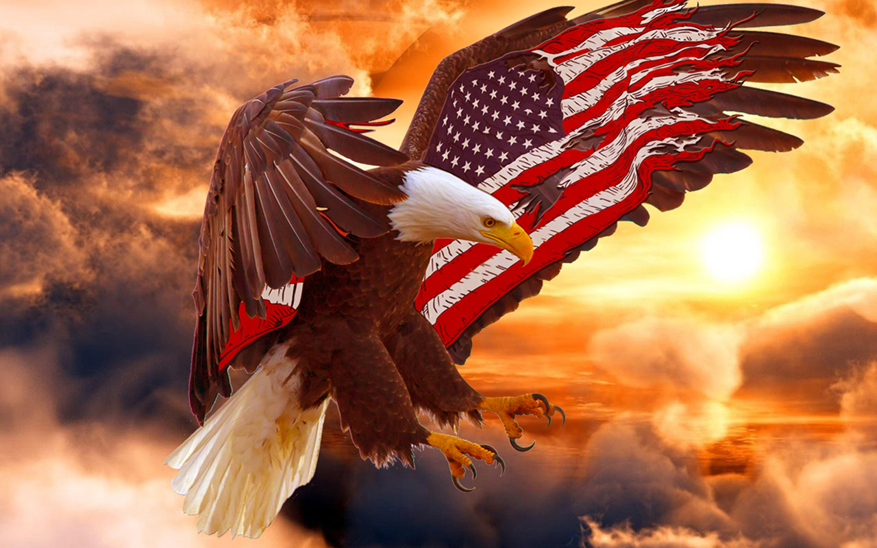 American Eagle Hd Wallpapers