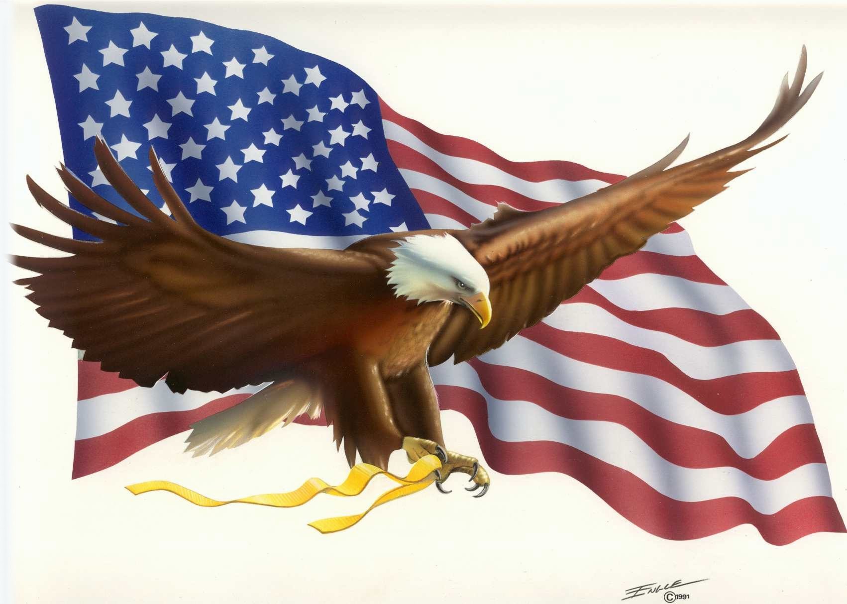 American Eagle Hd Wallpapers