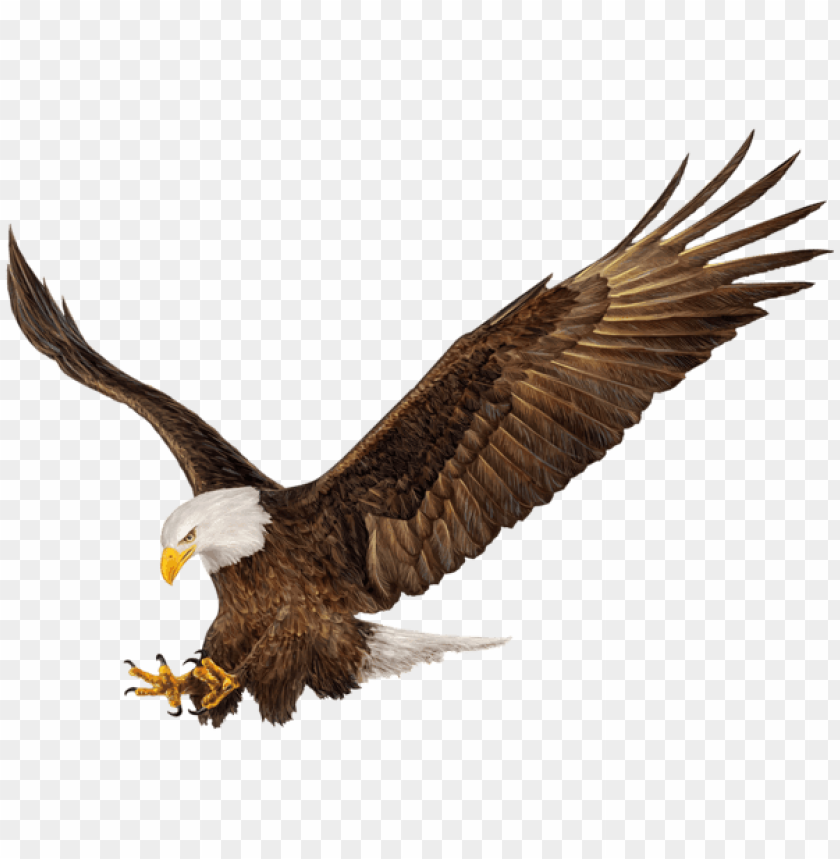 American Eagle Logo Wallpapers