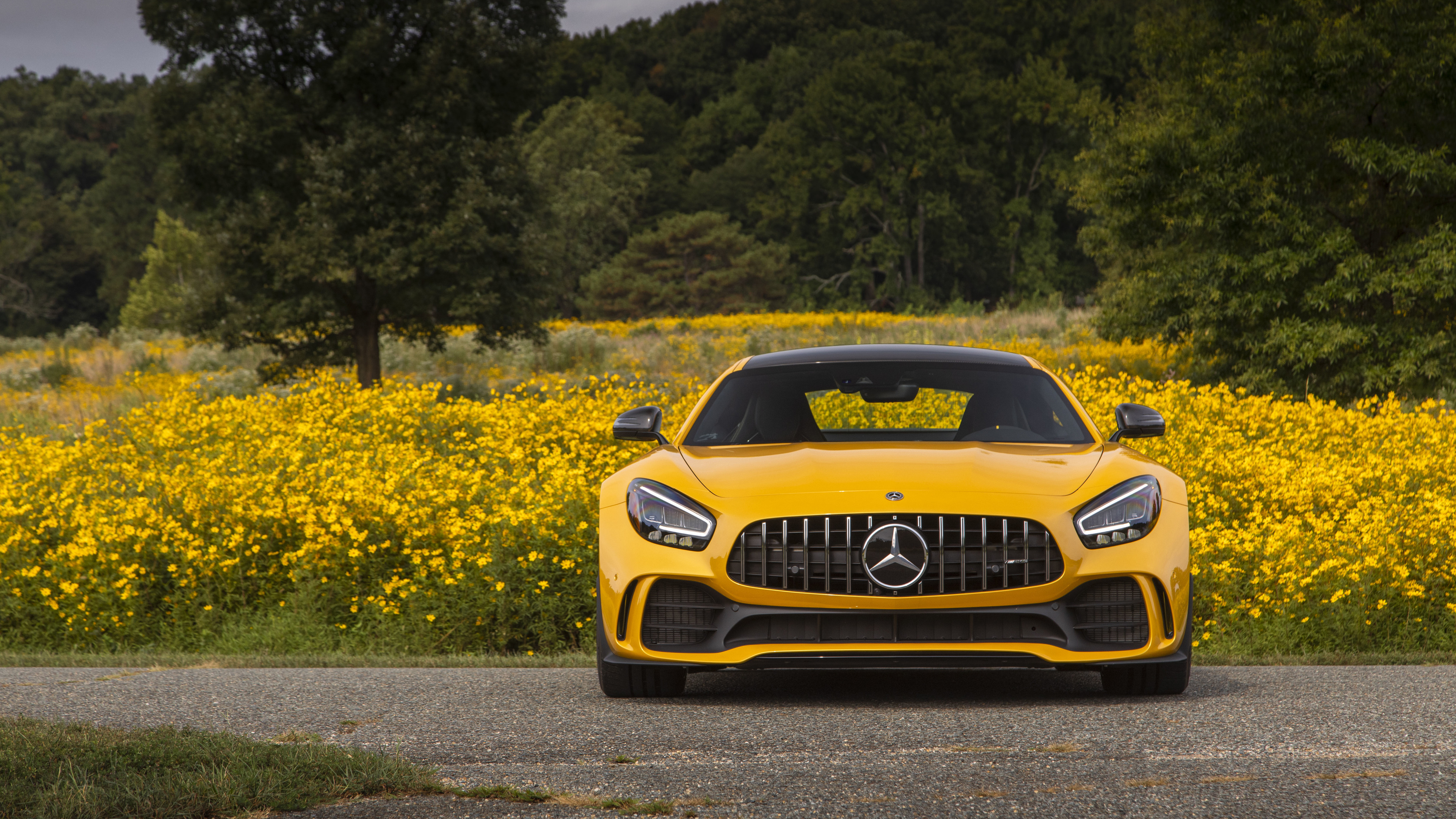 Amg Gt R Image Wallpapers