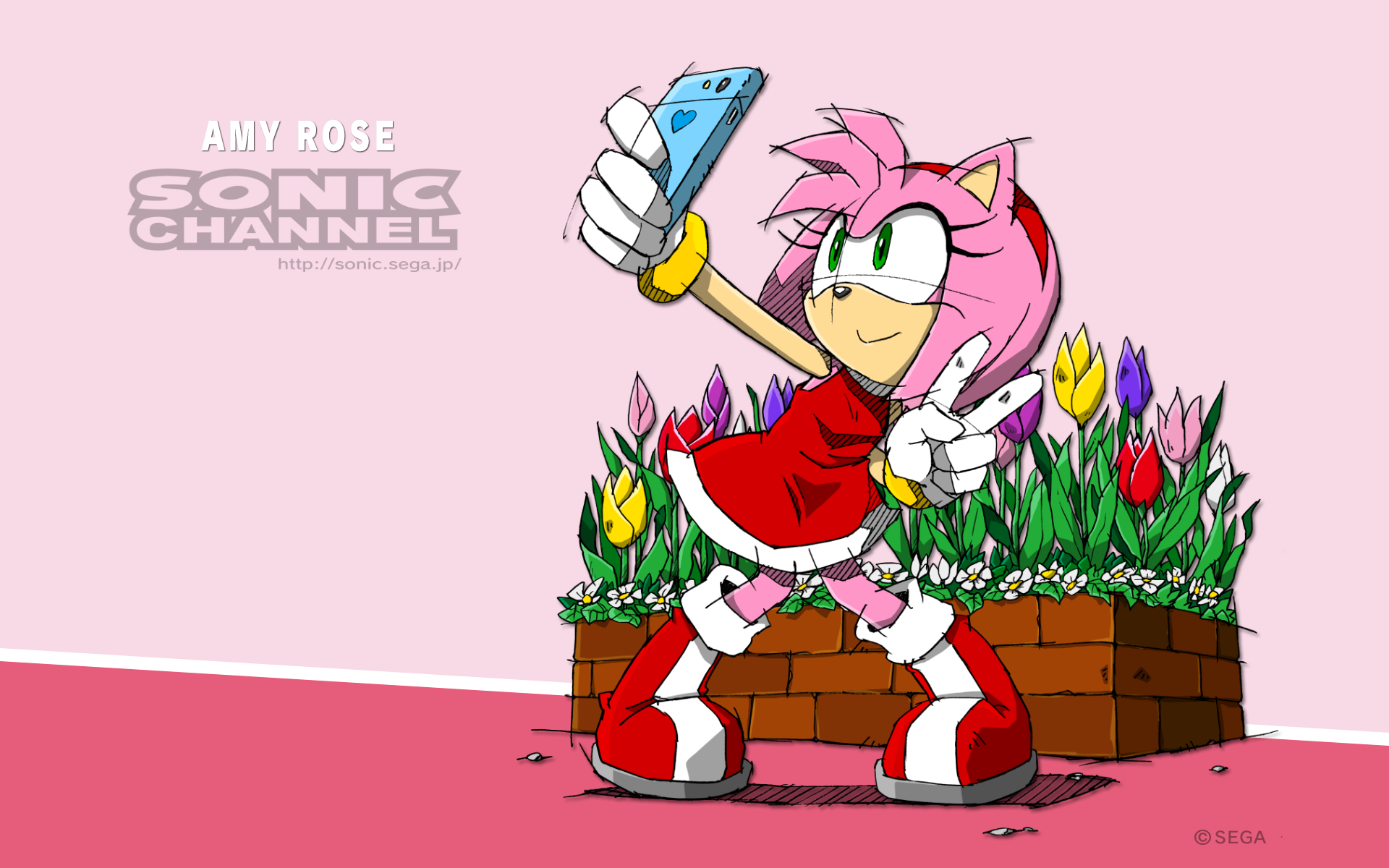 Amy Rose Wallpapers