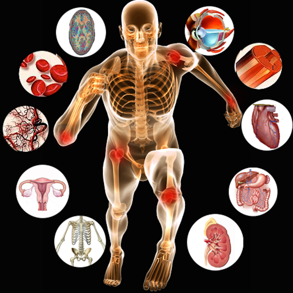 Anatomy And Physiology Wallpapers