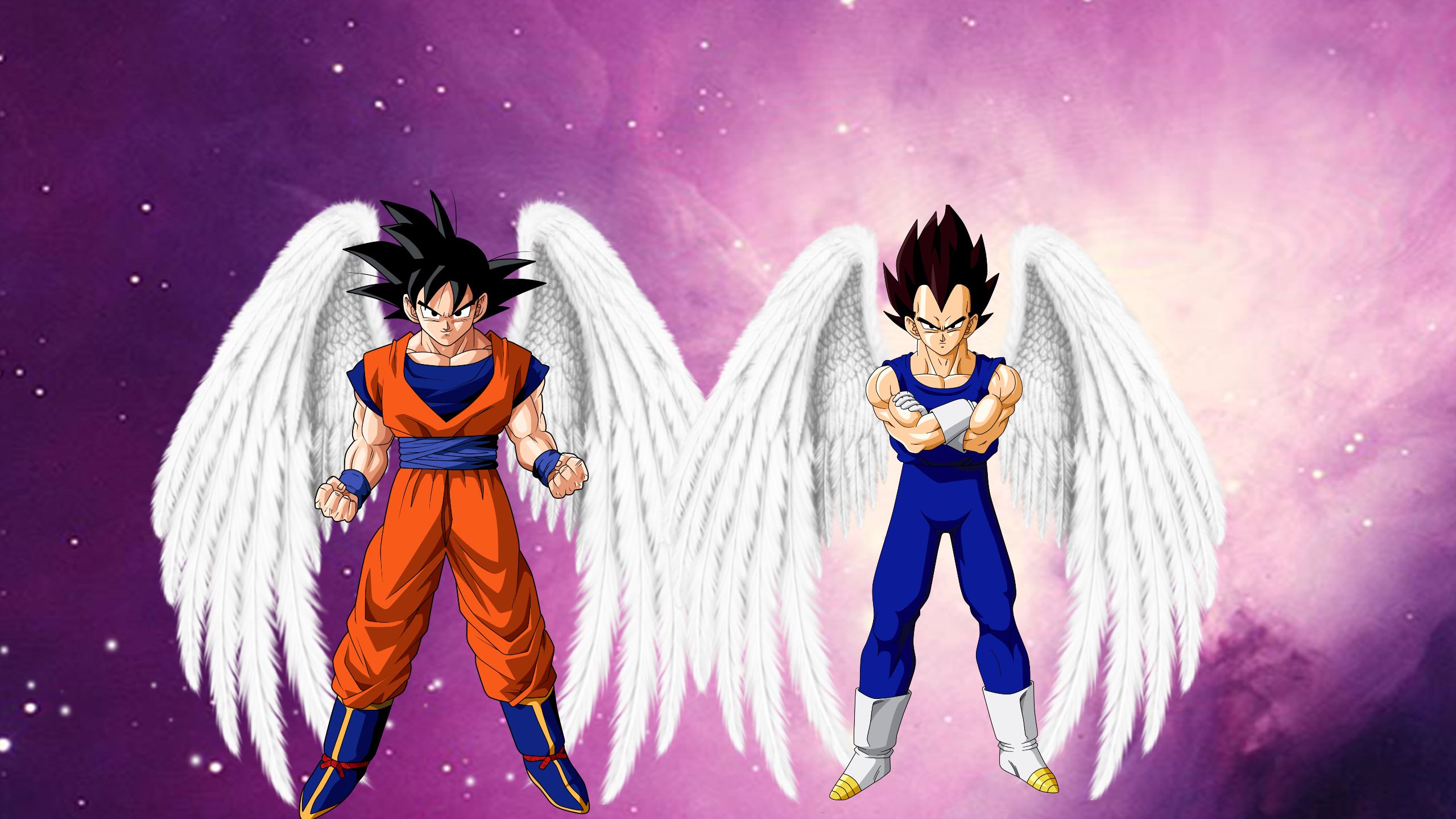 Angel Goku Wallpapers