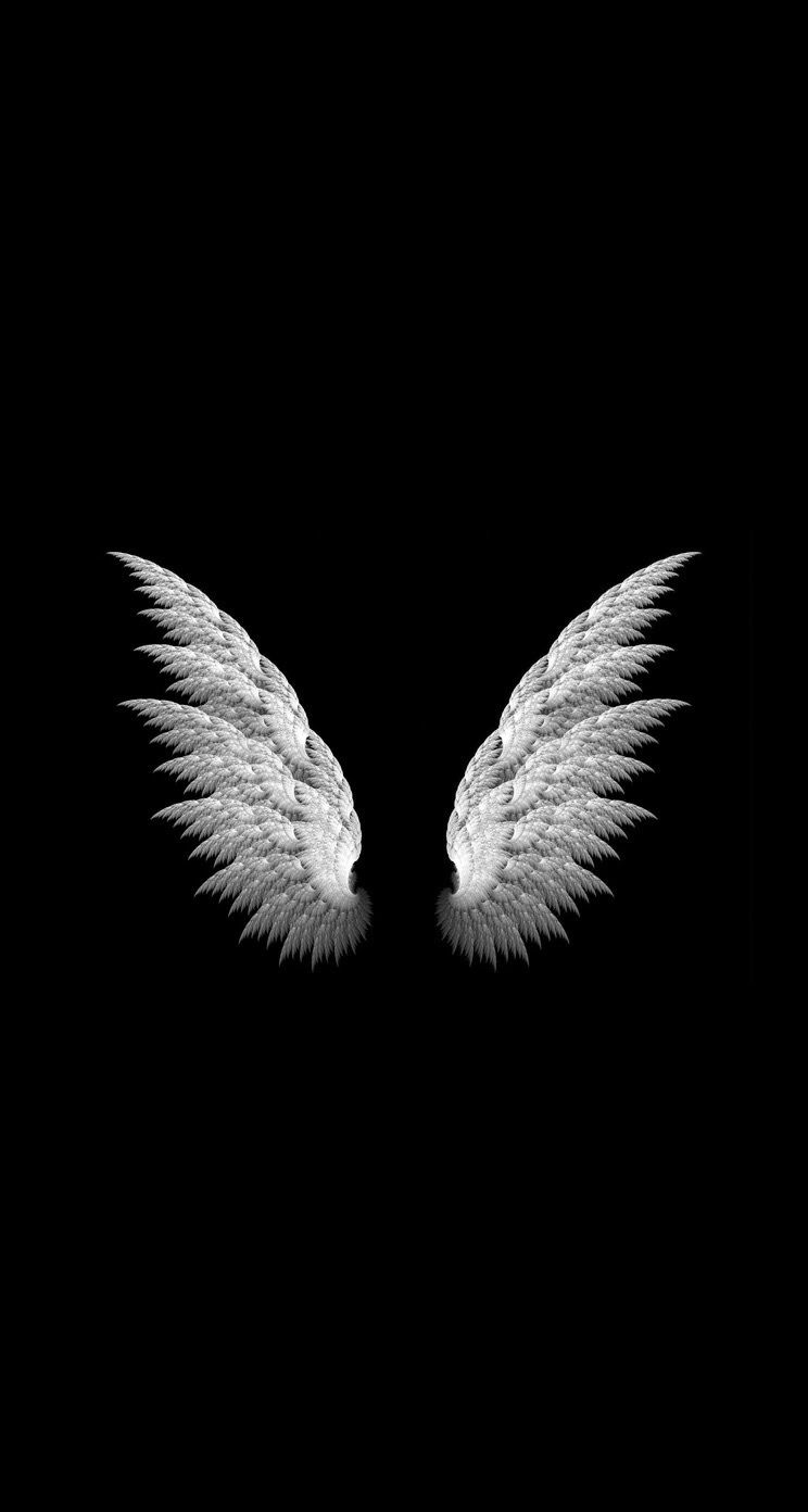 Angel Wing Wallpapers