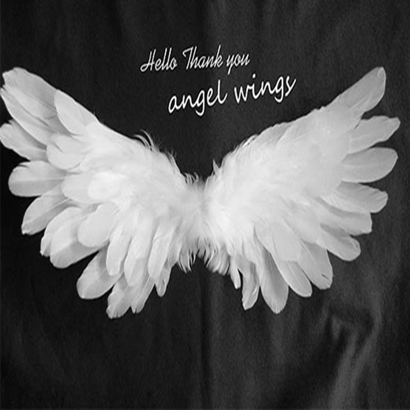 Angel Wing Wallpapers