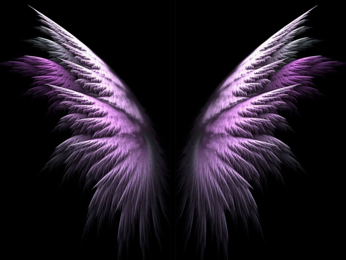 Angel Wing Wallpapers