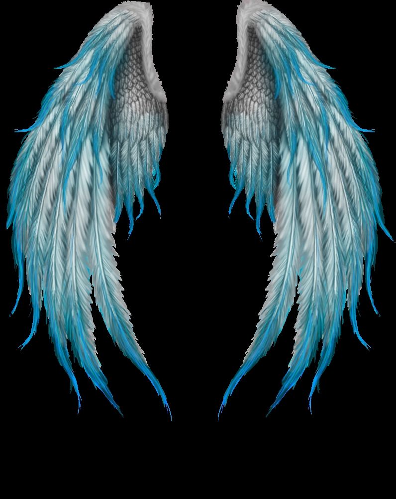 Angel Wing Wallpapers