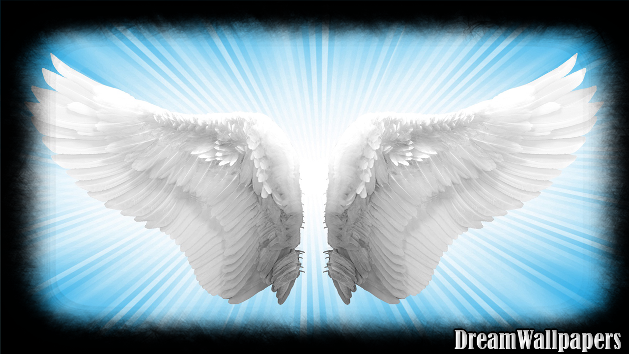 Angel Wing Wallpapers