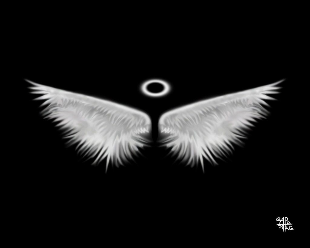 Angel Wing Wallpapers