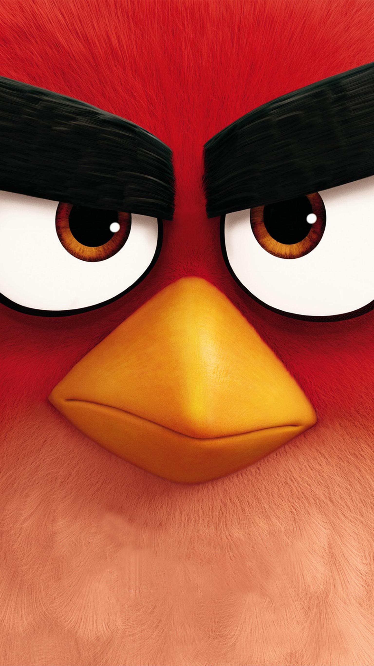 Angry Birds Iphone Wallpapers