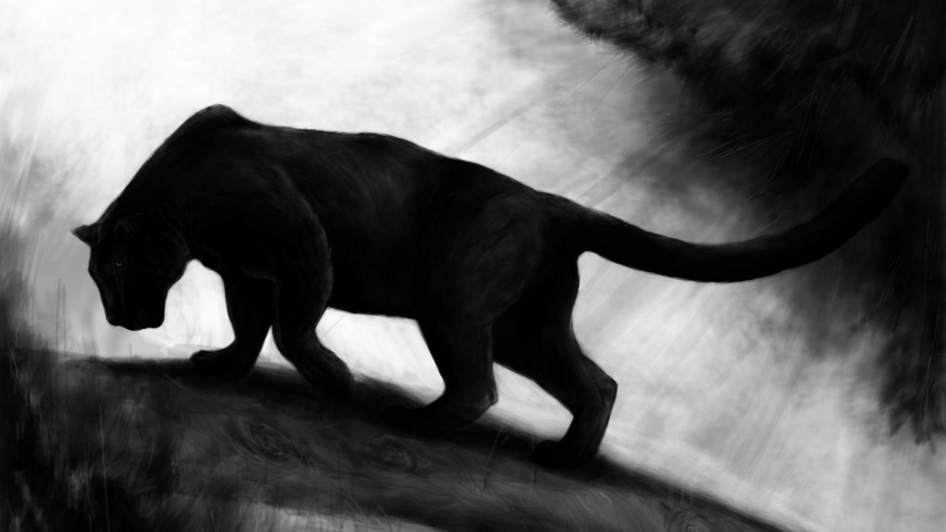 Angry Black Panther Animal Wallpapers