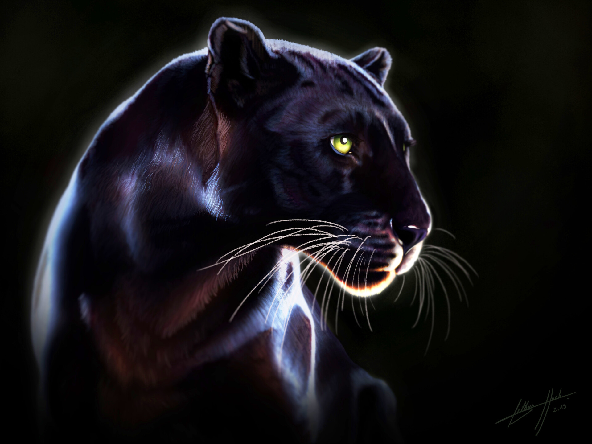 Angry Black Panther Animal Wallpapers