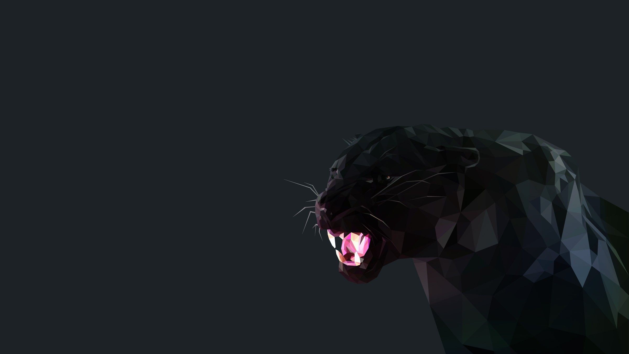 Angry Black Panther Animal Wallpapers