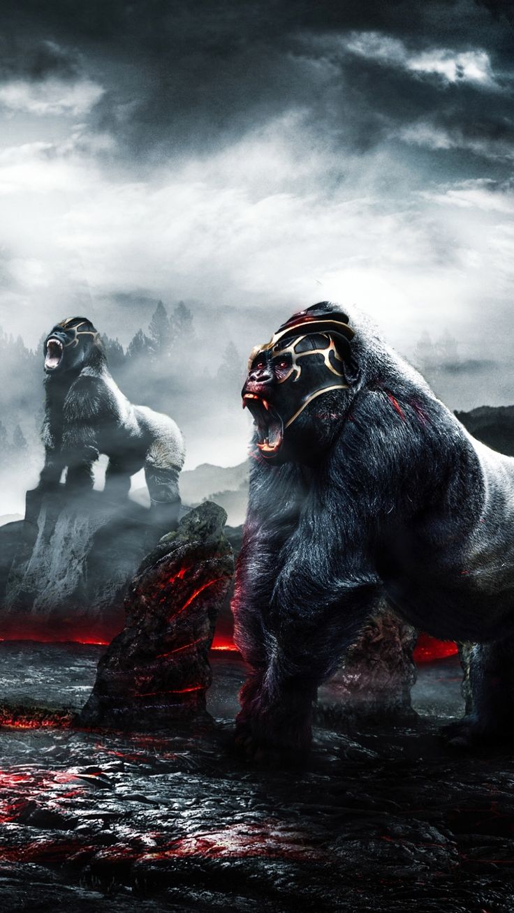 Angry Gorilla Wallpapers