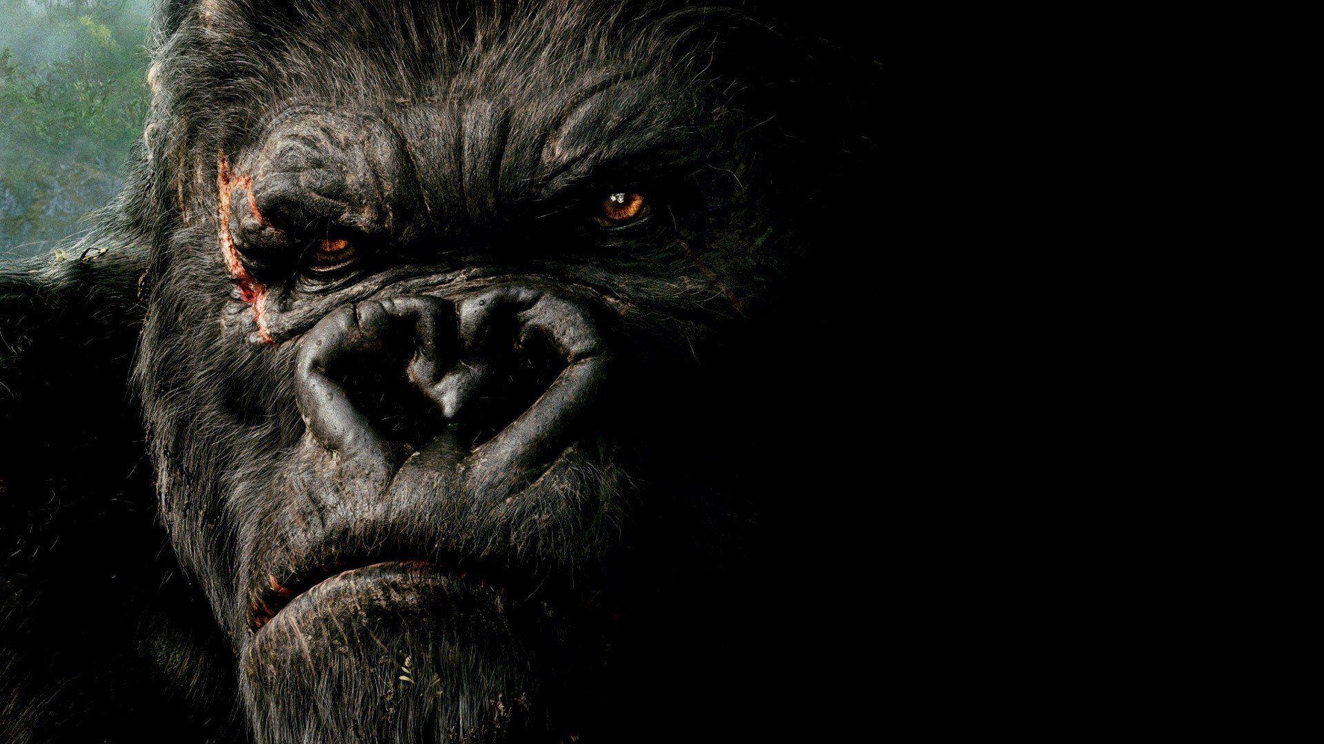 Angry Gorilla Wallpapers