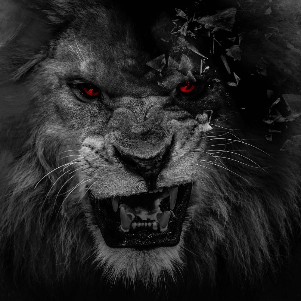 Angry Lion Art Wallpapers