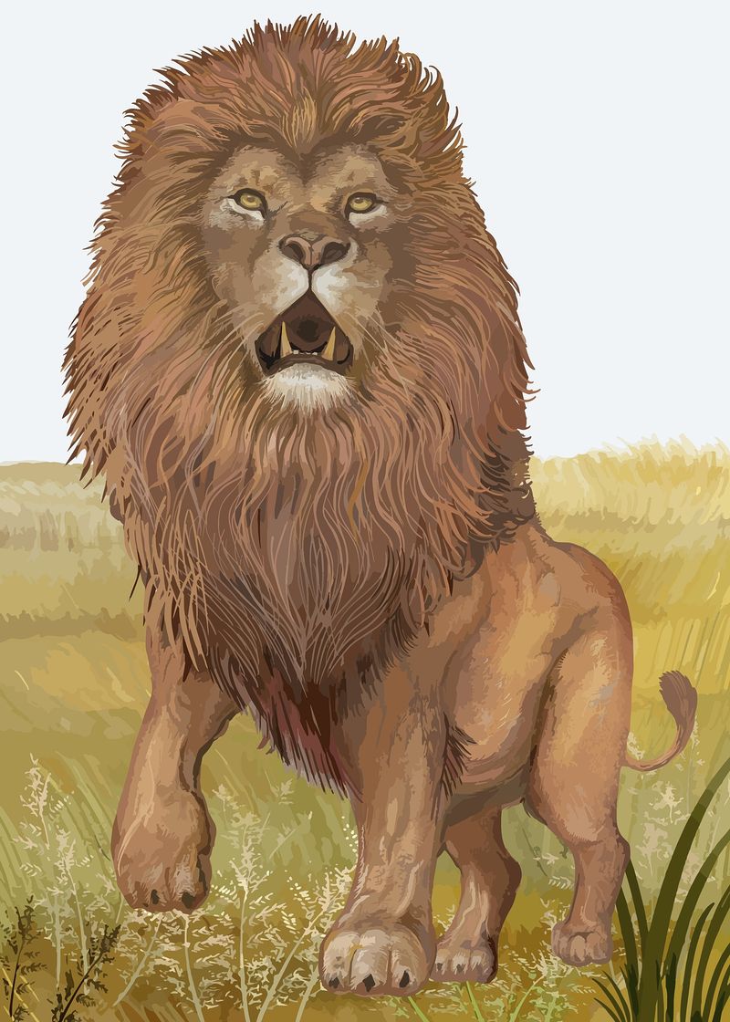 Angry Lion Art Wallpapers