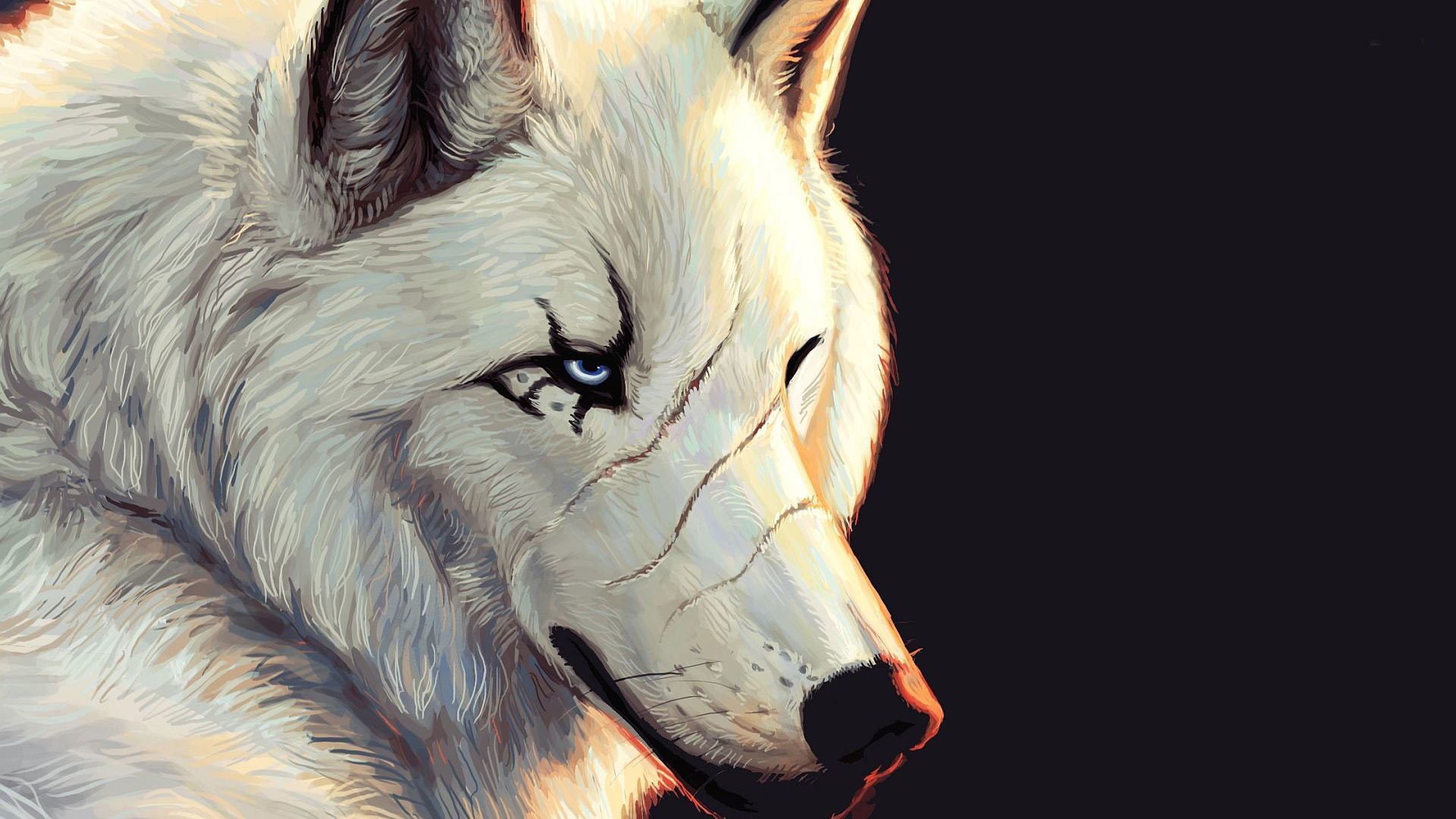 Angry Wolves Wallpapers