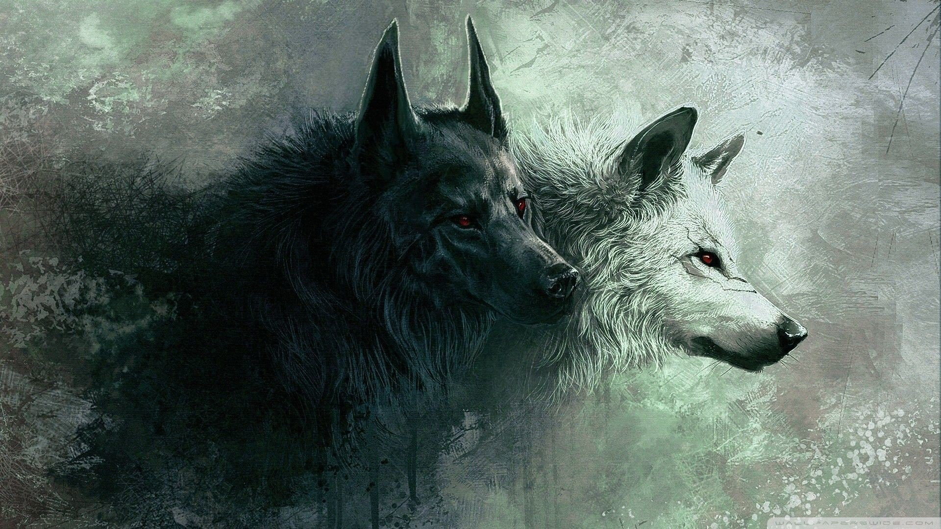 Angry Wolves Wallpapers