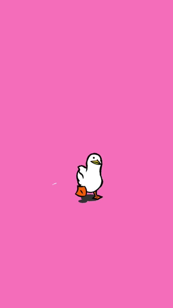 Animated Duck Wallpapers