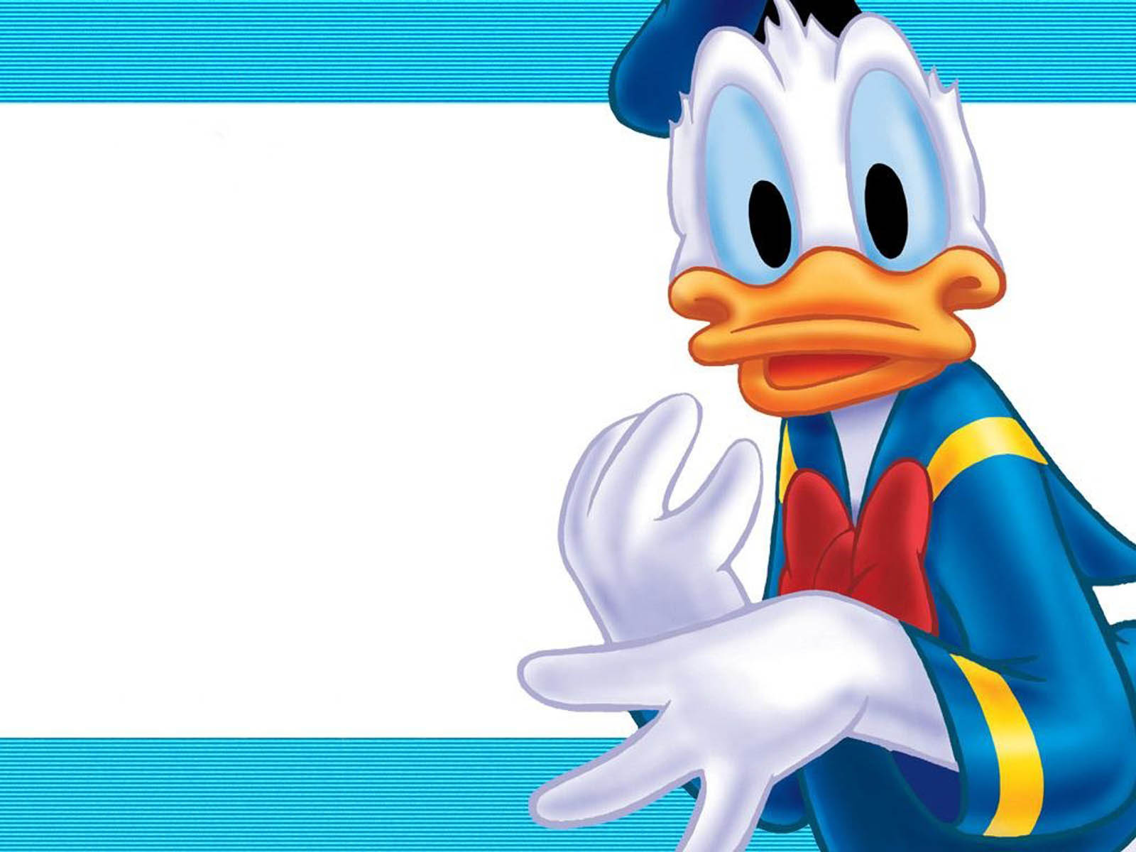 Animated Duck Wallpapers