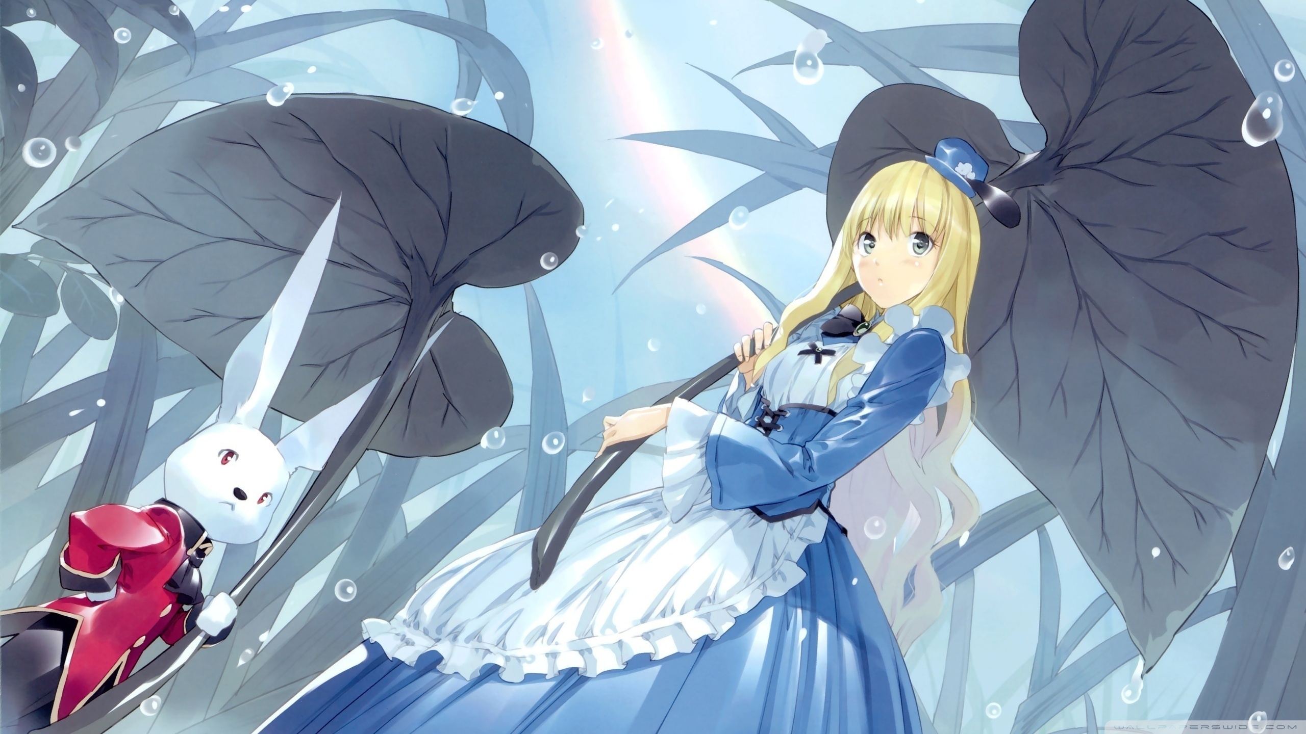 Anime Alice In Wonderland Wallpapers