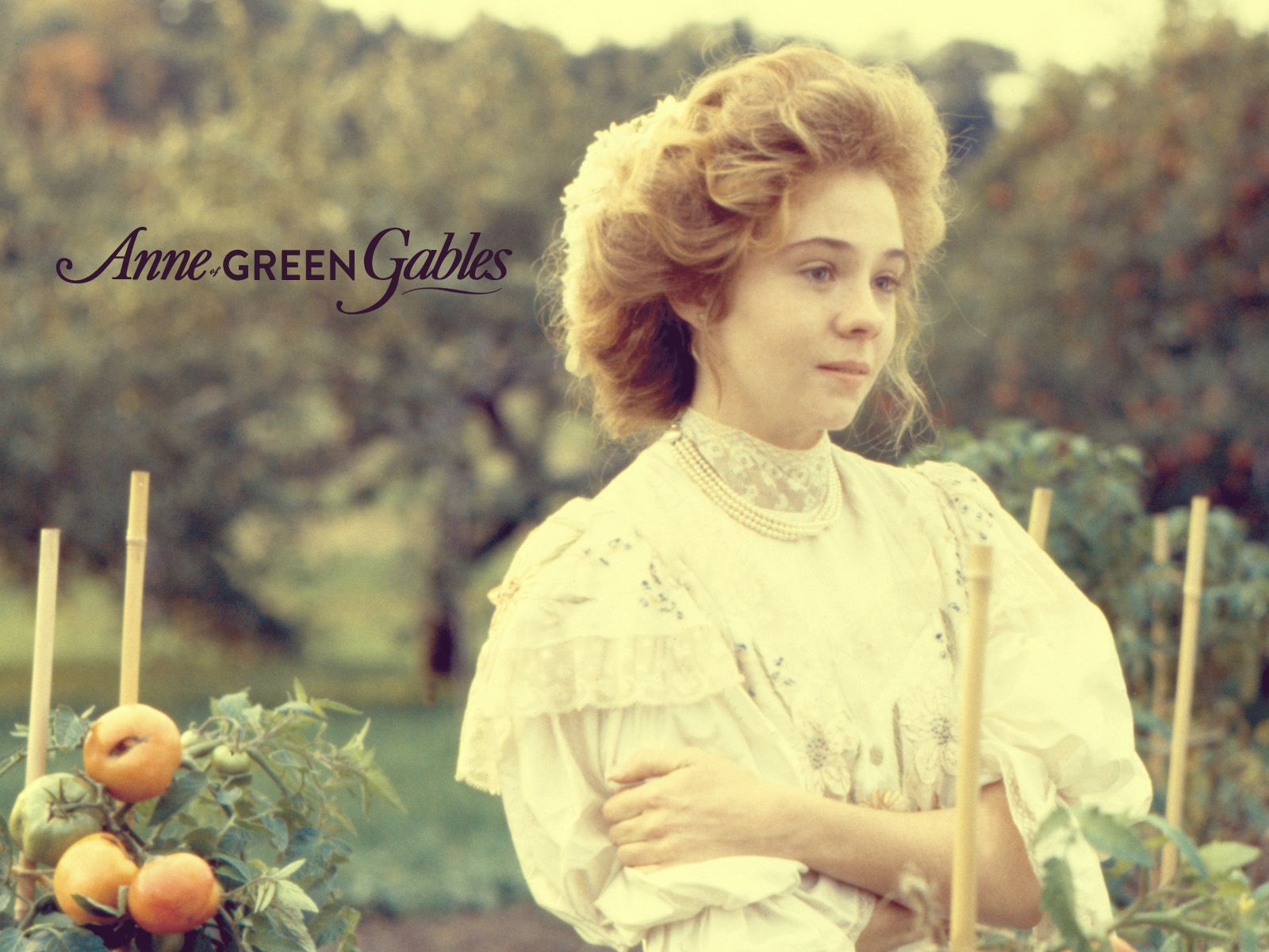 Anne Of Green Gables Wallpapers