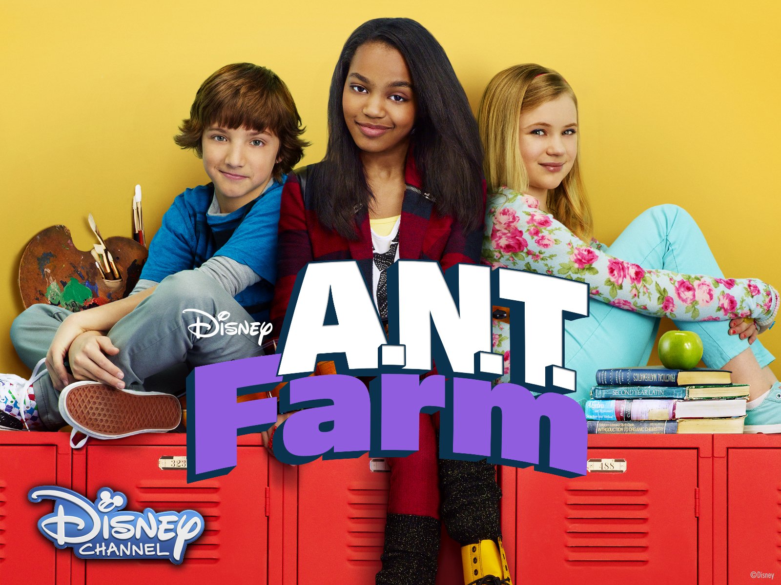 Ant Farm Wallpapers