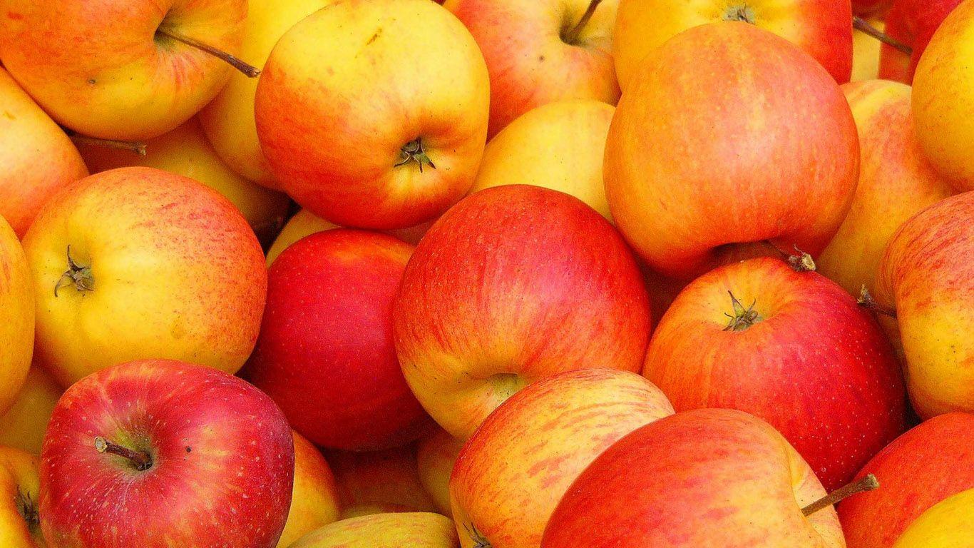 Apple Fruit Wallpapers