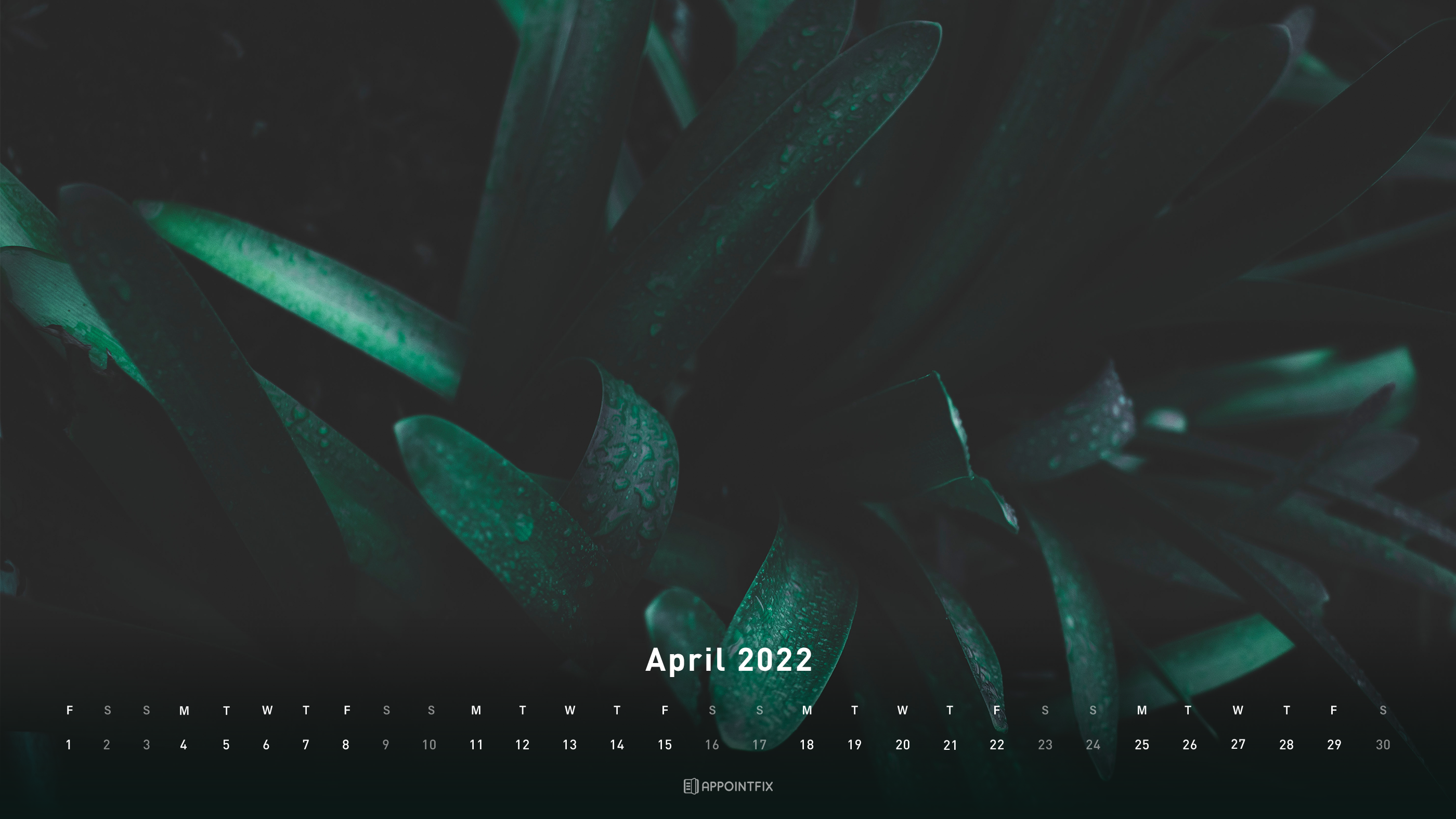 April Desktop Wallpapers