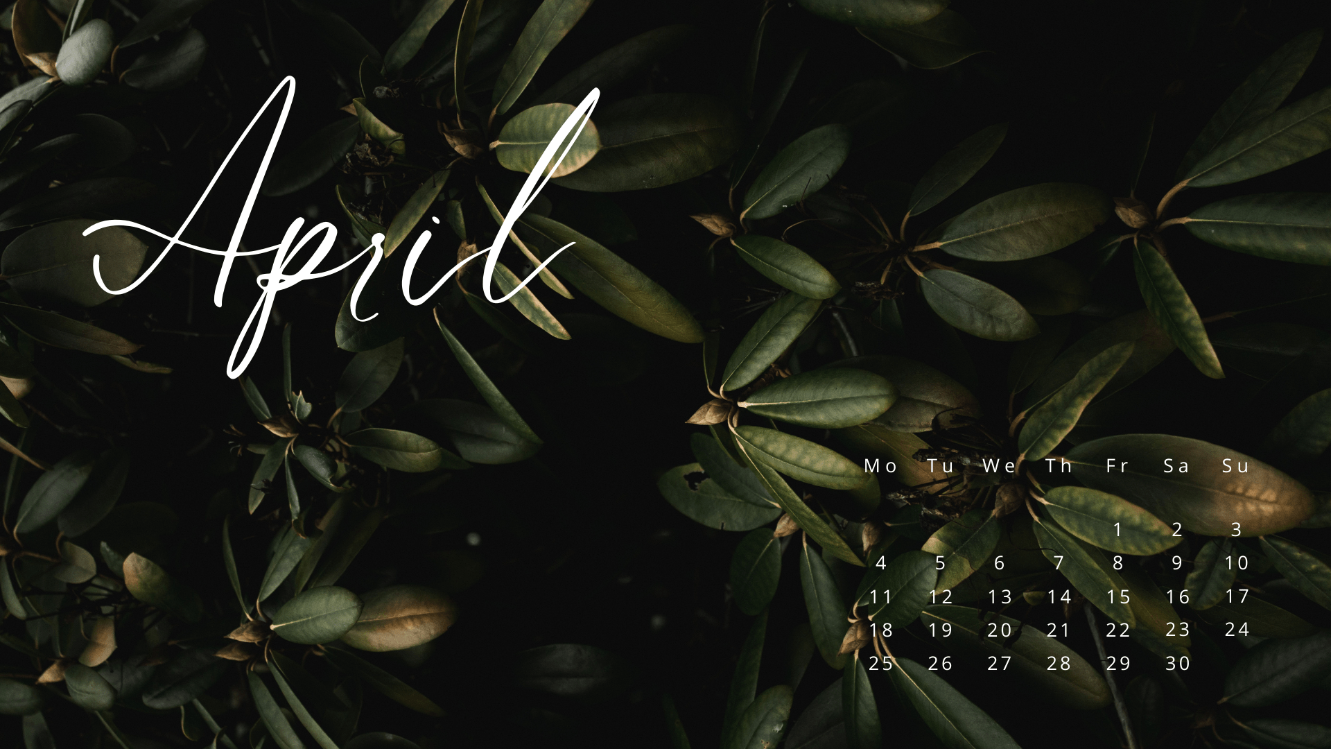 April Desktop Wallpapers