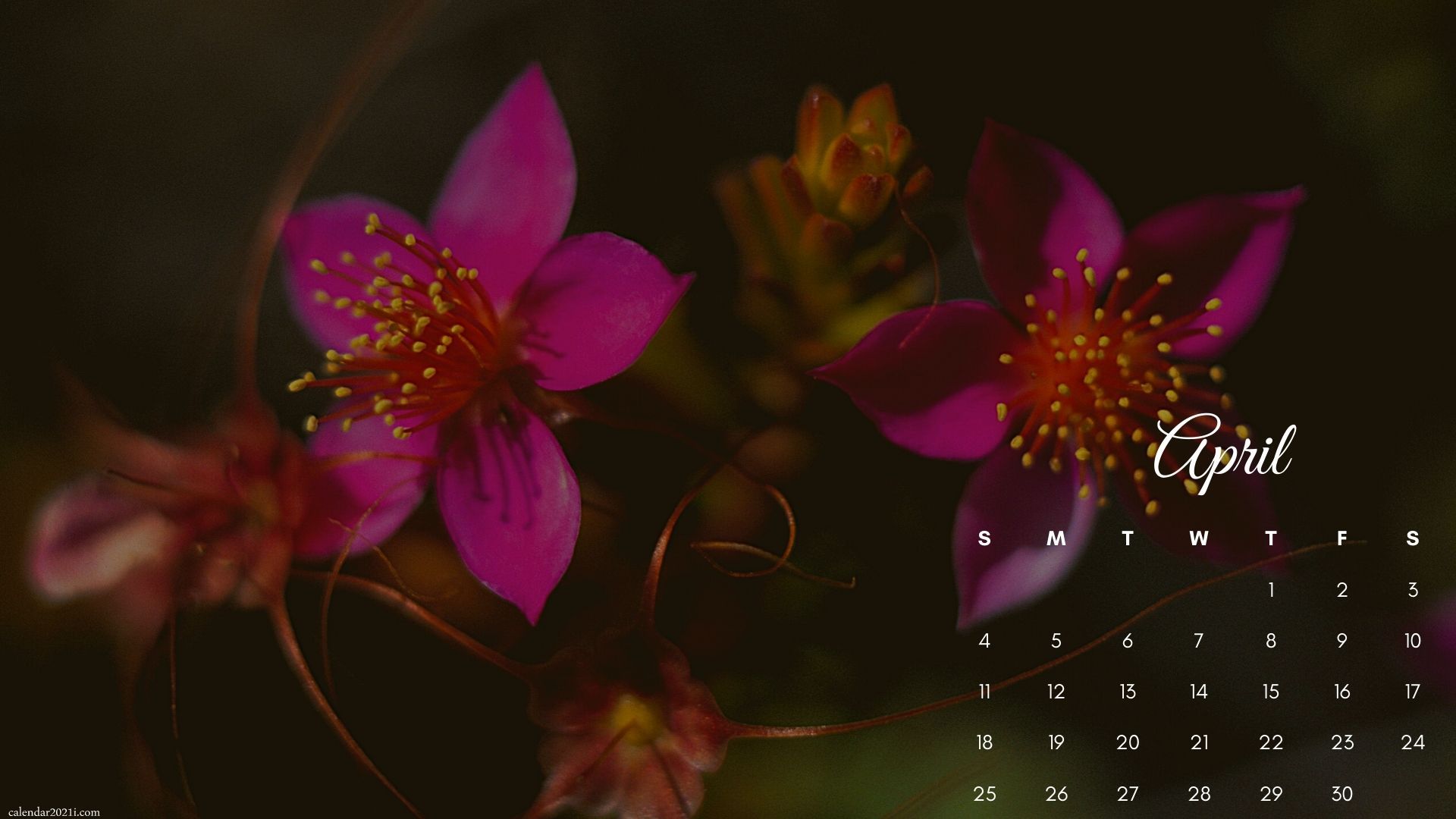 April 2021 Wallpapers