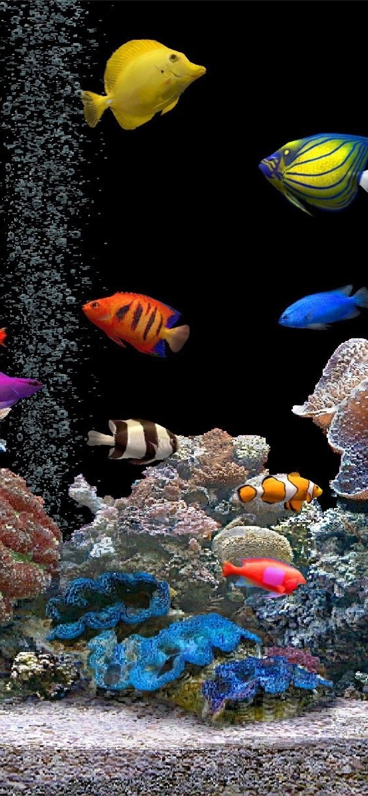Aquarium Iphone Wallpapers