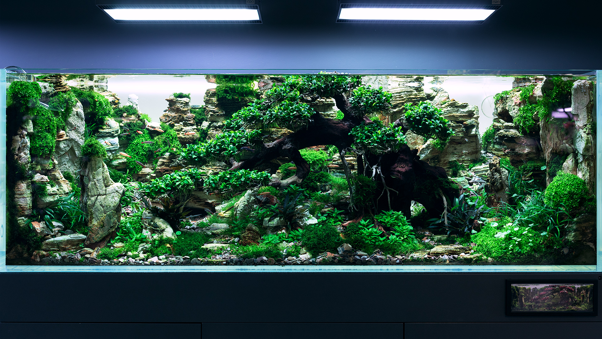 Aquascape Wallpapers